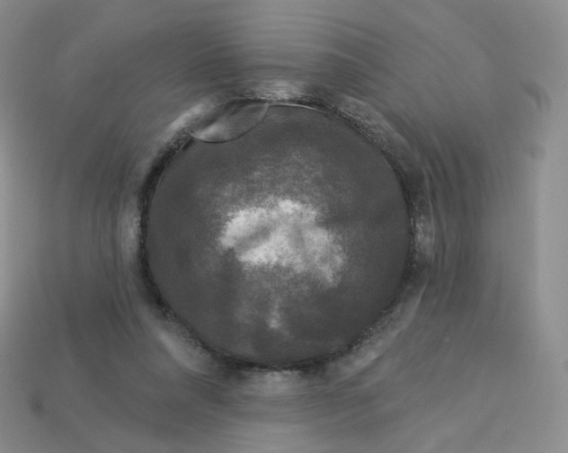 X0000113580304200910161546