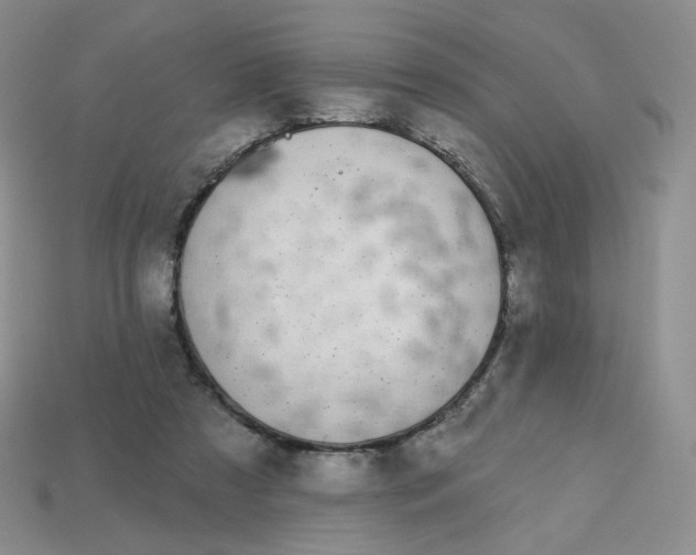 X0000113580305200910161546