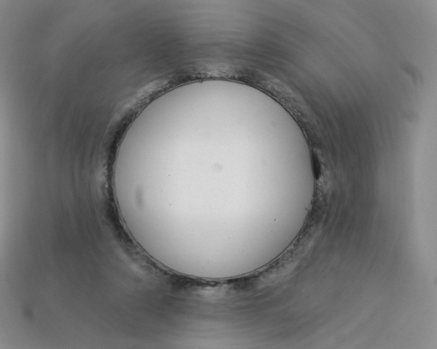 X0000113580306200910161546