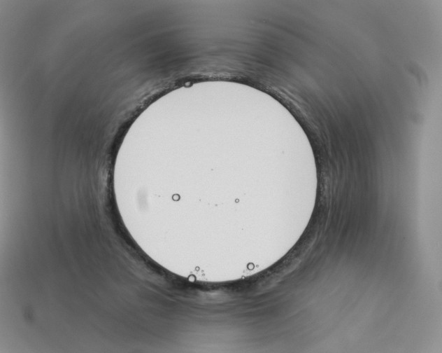 X0000113580309200910161546