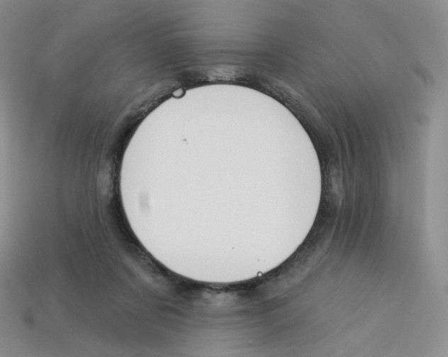 X0000113580311200910161546