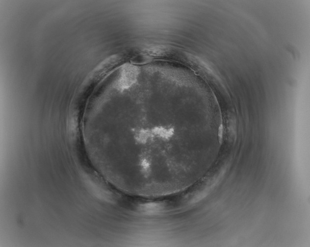 X0000113580312200910161546