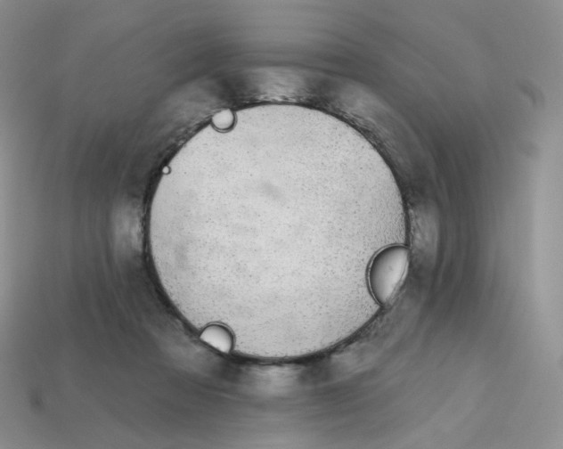 X0000113580313200910161546