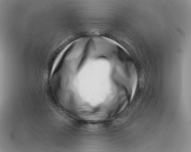 X0000113580314200910161546