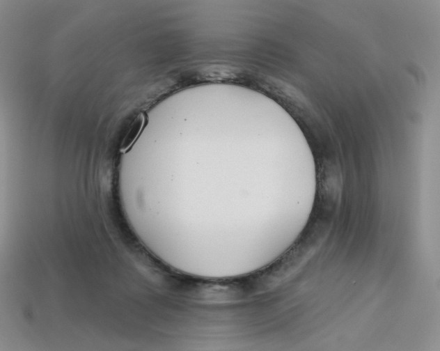 X0000113580315200910161546