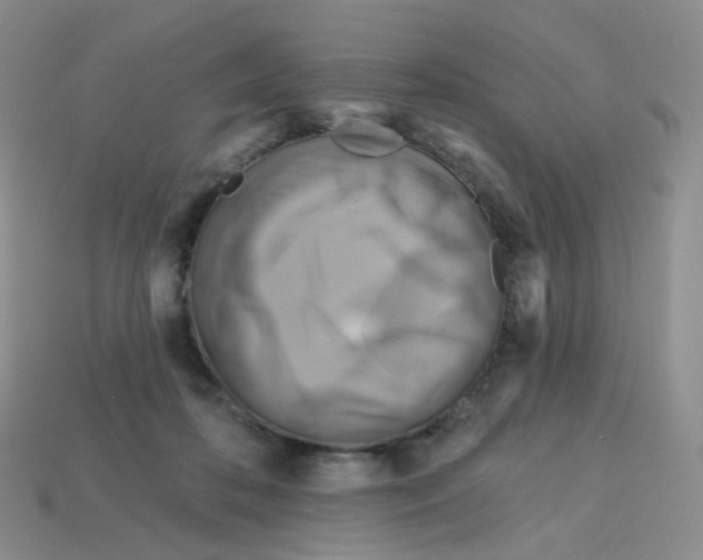 X0000113580316200910161545