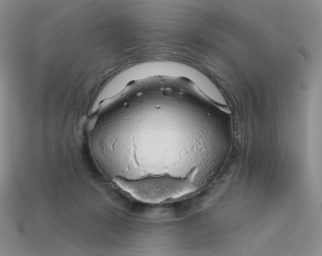 X0000113580319200910161545