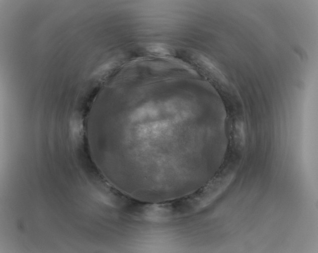 X0000113580320200910161545