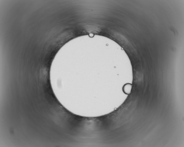 X0000113580321200910161545