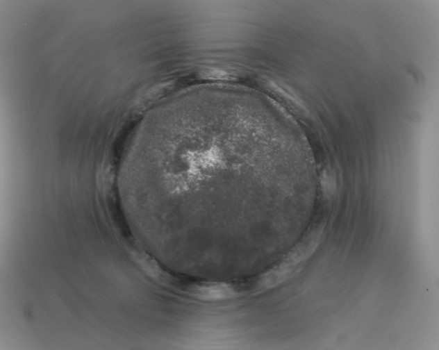 X0000113580322200910161545