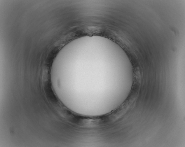 X0000113580323200910161545