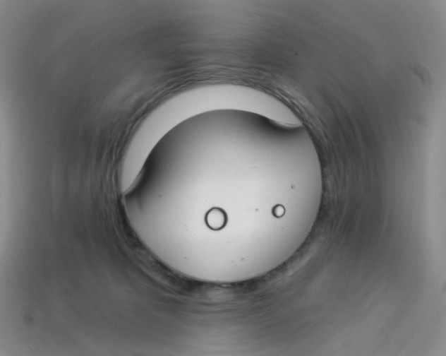 X0000113580325200910161545