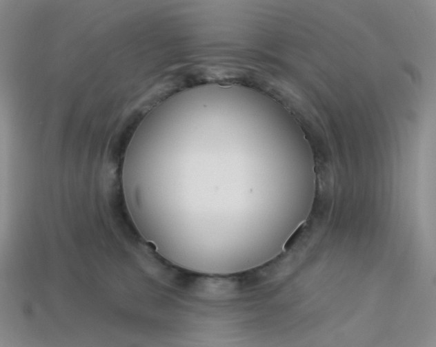 X0000113580327200910161545