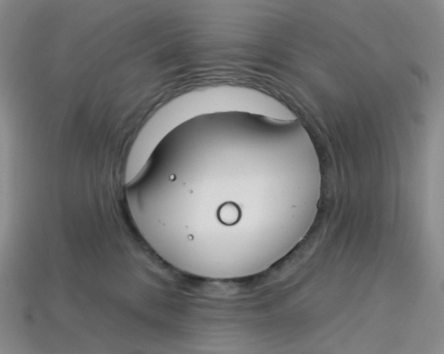 X0000113580328200910161545