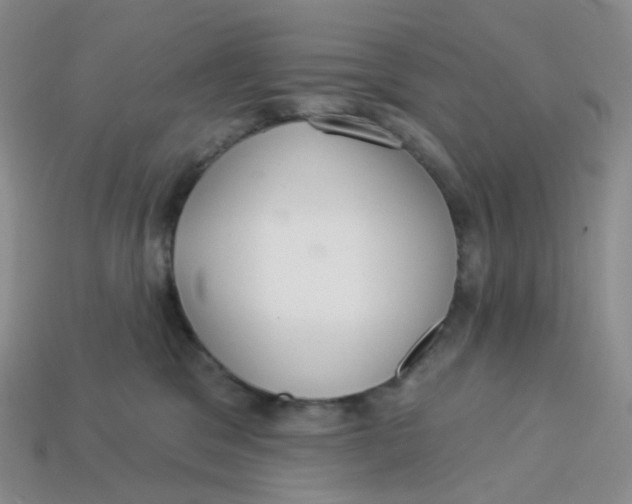 X0000113580329200910161545