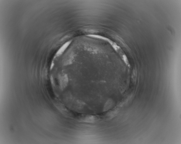 X0000113580330200910161545