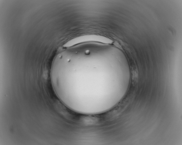 X0000113580331200910161545