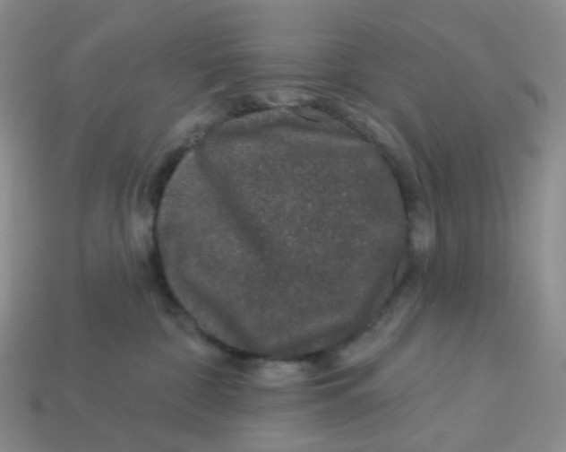 X0000113580332200910161545