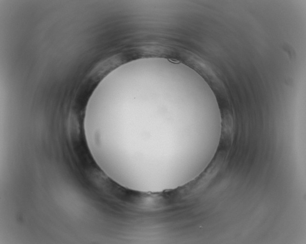 X0000113580333200910161545