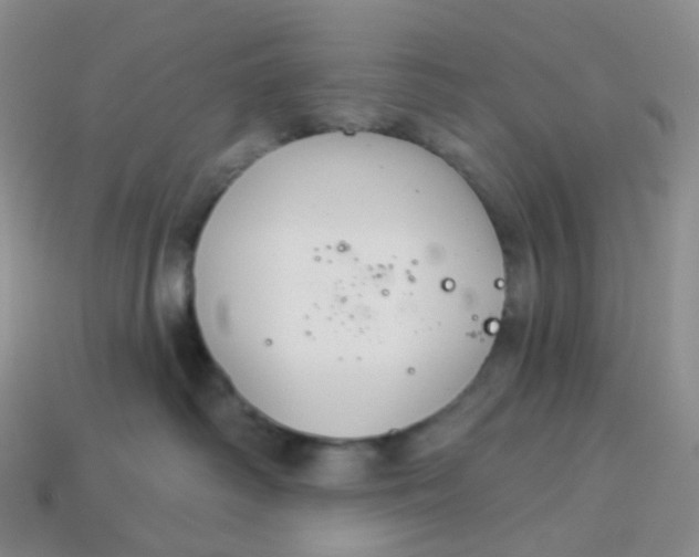 X0000113580334200910161545