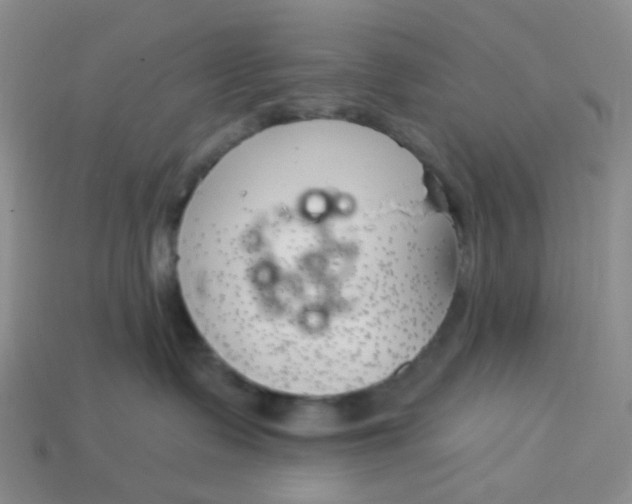 X0000113580335200910161545