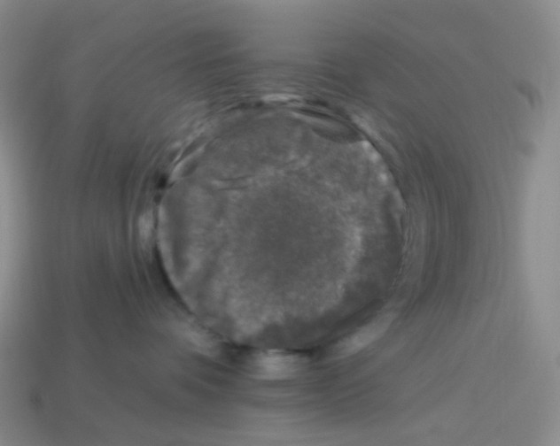 X0000113580336200910161545