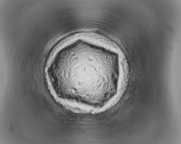 X0000113580337200910161544