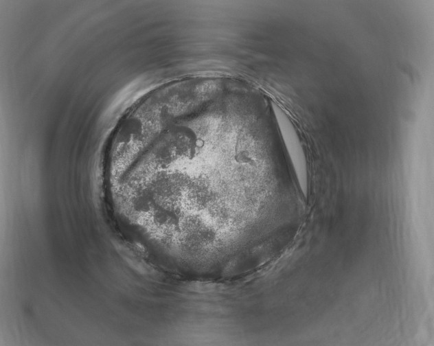 X0000113580339200910161544