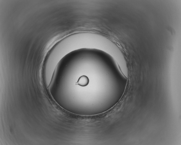 X0000113580340200910161544