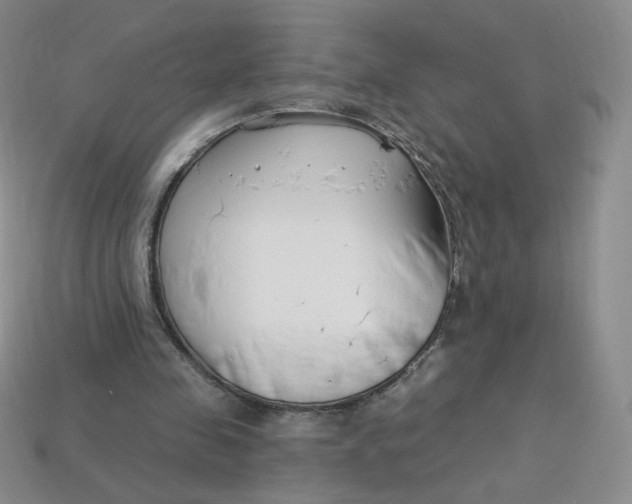 X0000113580341200910161544