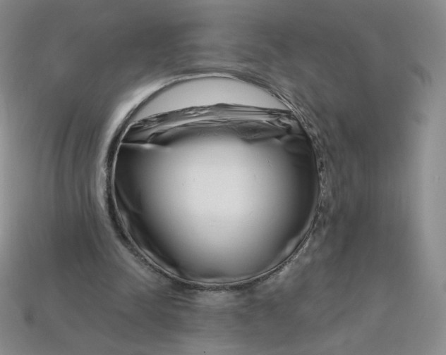 X0000113580342200910161544