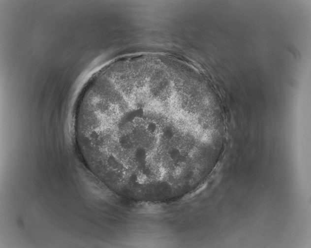 X0000113580343200910161544