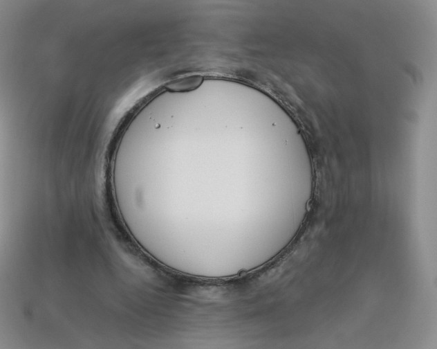 X0000113580344200910161544