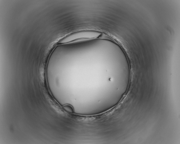 X0000113580345200910161544