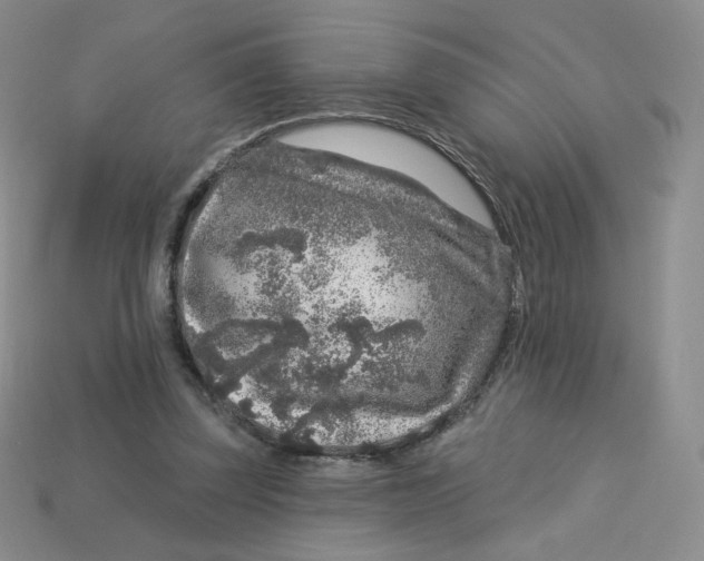 X0000113580347200910161545