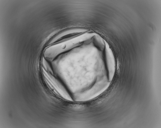 X0000113580348200910161545