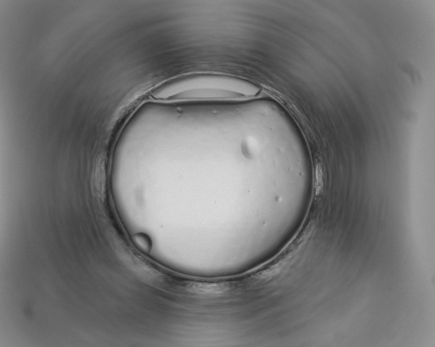 X0000113580349200910161545