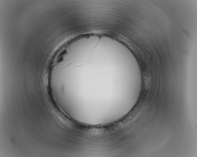 X0000113580350200910161545