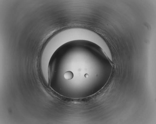 X0000113580352200910161545