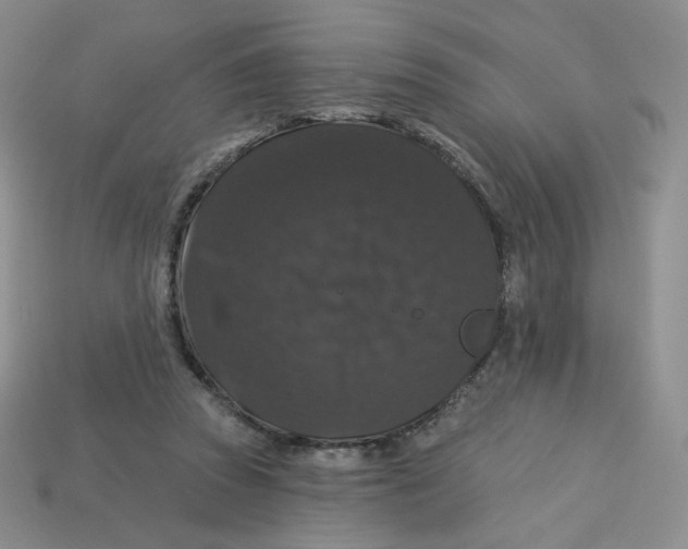 X0000113580353200910161545