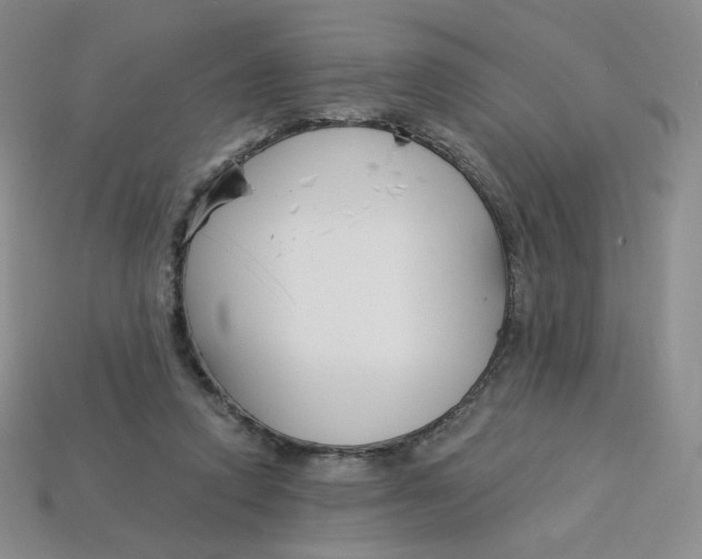 X0000113580354200910161545