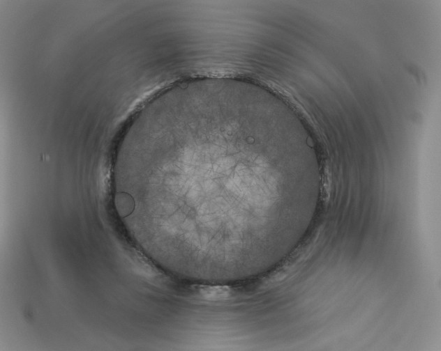 X0000113580355200910161545