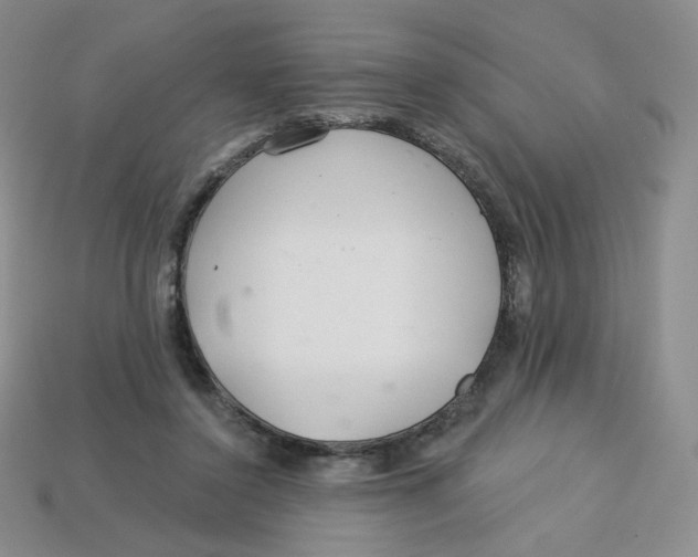 X0000113580356200910161545