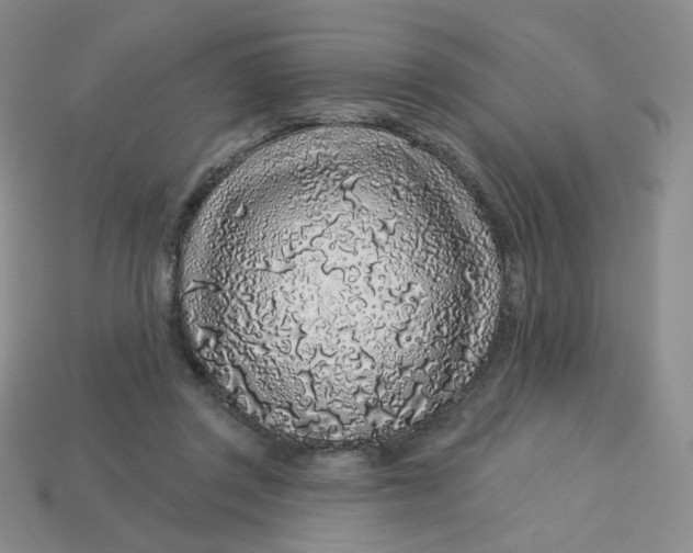 X0000113580357200910161545