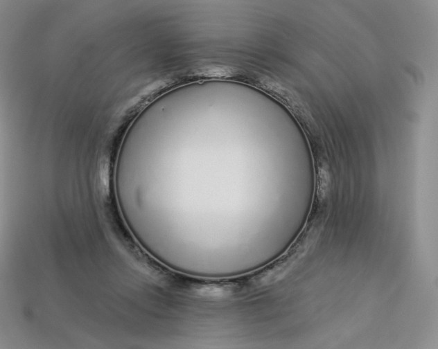 X0000113580358200910161545