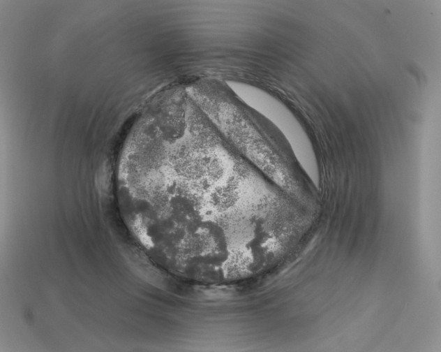 X0000113580359200910161545