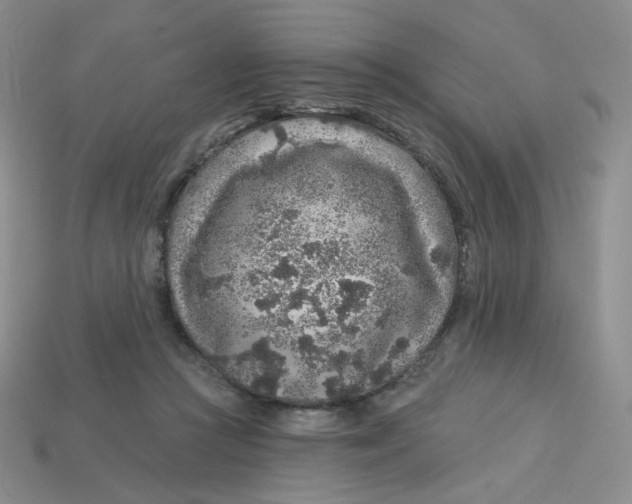 X0000113580361200910161545