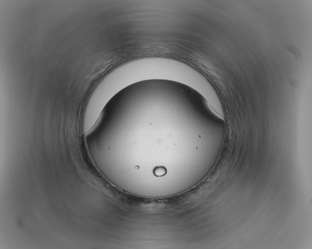 X0000113580362200910161545