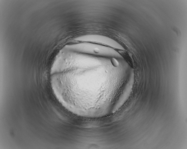 X0000113580363200910161545