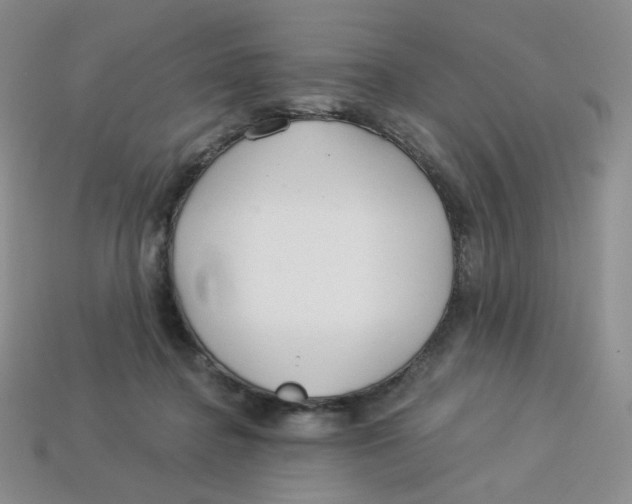 X0000113580364200910161545